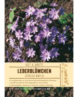 Sortenschild, Hepatica nobilis