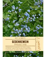 Sortenschild, Omphalodes verna