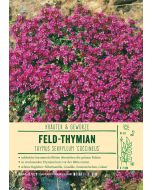 Sortenschild, Thymus serpyllum 'Coccineus'