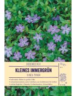 Sortenschild, Vinca minor