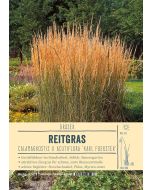 Sortenschild, Calamagrostis x acutiflora 'Karl Foerster'