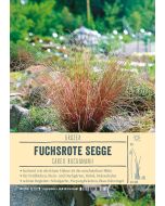 Sortenschild, Carex buchananii