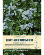 Sortenschild, Myosotis palustris