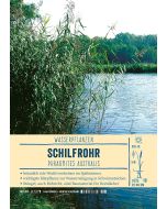 Sortenschild, Phragmites australis