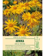 Sortenschild, Arnica montana