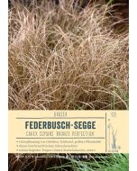 Sortenschild, Carex comans 'Bronze Perfection'