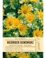 Sortenschild, Doronicum orientale 'Goldzwerg'