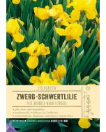 Sortenschild, Iris Barbata-Nana-Hybride