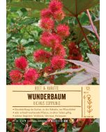 Sortenschild, Ricinus communis