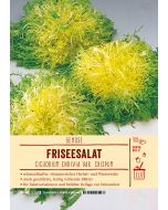 Sortenschild, Cichorium end. var. crispum
