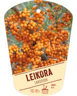 Hippophae rhamnoides 'Leikora', Bildhängeetikett VS