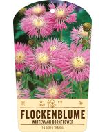 Bildstabetikett, Centaurea dealbata VS