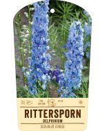 Bildstabetikett, Delphinium Hybride VS
