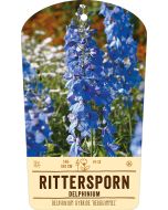 Bildstabetikett, Delphinium Hybride 'Berghimmel' VS