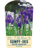 Bildstabetikett, Iris laevigata VS