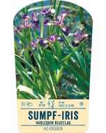 Bildstabetikett, Iris versicolor VS