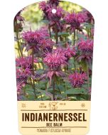 Bildstabetikett, Monarda Fistulosa VS