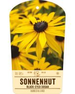 Bildstabetikett, Rudbeckia hirta VS