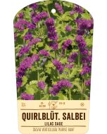 Bildstabetikett, Salvia vertic. 'Purple Rain' VS