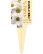 Chrysanthemum, Bildstecketikett VS: