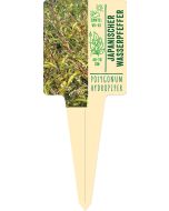 Polygonum hydropiper, Bildstecketikett VS