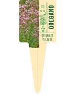 Origanum vulgare, Bildstecketikett VS: