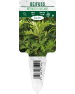 Artemisia vulgaris, Bildstecketikett VS