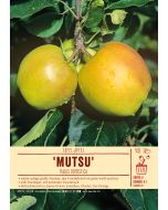Sortenschild, Malus domestica Mutsu