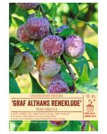 Sortenschild, Prunus domestica 'Graf Althans Reneklode'