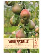 Sortenschild, Pyrus communis 'Winterforelle', Nordhäuser Forellenbirne