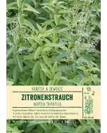 Sortenschild, Aloysia triphylla