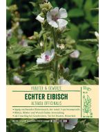 Sortenschild, Althaea officinalis
