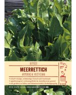 Sortenschild, Armoracia rusticana