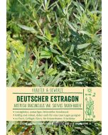 Sortenschild, Artemisia drac. 'Baden-Baden'