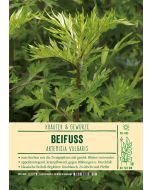 Sortenschild, Artemisia vulgaris