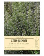 Sortenschild, Calamintha nepeta 'Blue Cloud'