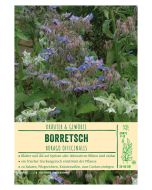 Sortenschild, Borago officinalis