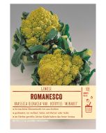 Sortenschild, Brassica ol. botryt. 'Minaret'