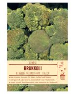 Sortenschild, Brassica oleracea var. italica