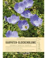 Sortenschild, Campanula carpatica 'Blaumeise'