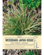 Sortenschild, Carex morrowii 'Variegata'