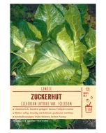 Sortenschild, Cichorium int. var. foliosum