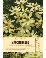 Sortenschild, Coreopsis Verticillata-Hybride 'Moonbeam'