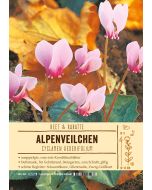 Sortenschild, Cyclamen hederifolium