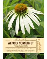 Sortenschild, Echinacea purpurea