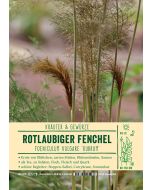 Sortenschild, Foeniculum vulgare 'Rubrum'