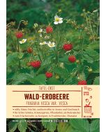 Sortenschild, Fragaria vesca