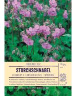 Sortenschild, Geranium x cantabrigiense 'Cambridge'