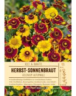 Sortenschild, Helenium autumnale