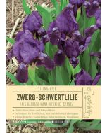 Sortenschild, Iris Barbata-Nana-Hybride 'Cyanea'